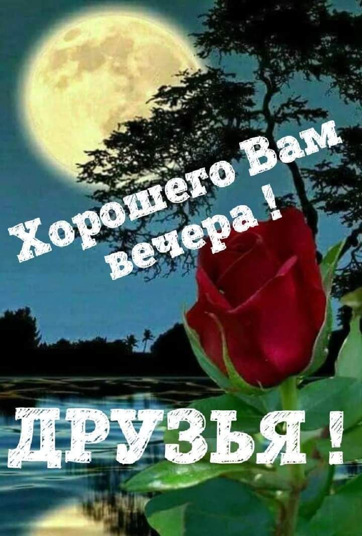 Хорошего вечера!💖 