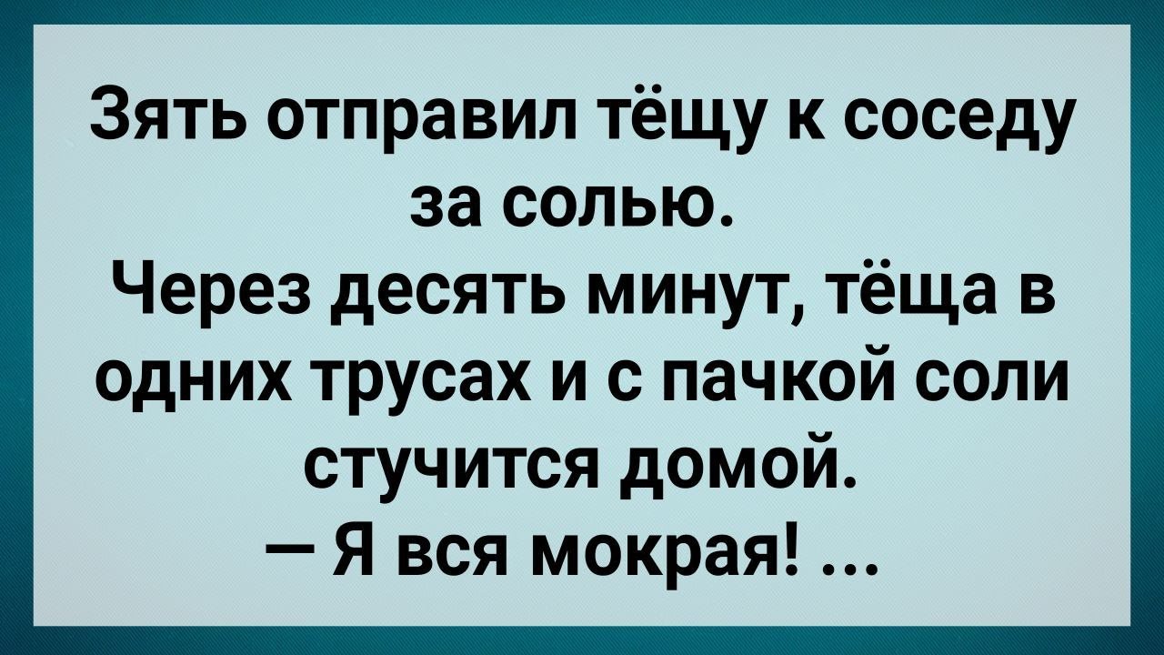 Приколы про тещу и зятя‎‏ ‏عکس 