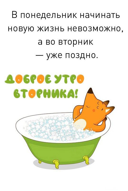 Доброе Утро ☕#вторник 🤗#хорошегодня ❤️