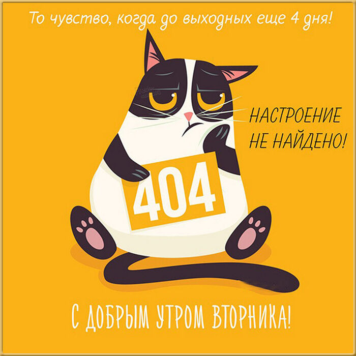 ☀️Доброе утро! Сегодня 2 ноября, вторник 📆Международный 