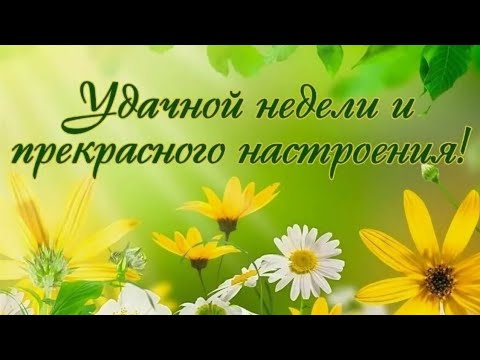 Картинки с пожеланиями доброго понедельника