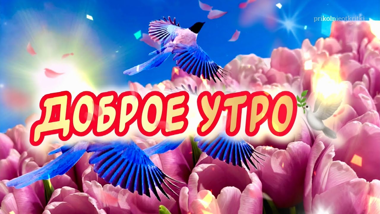 🌸✨🌸 С ДОБРЫМ АПРЕЛЬСКИМ УТРОМ 