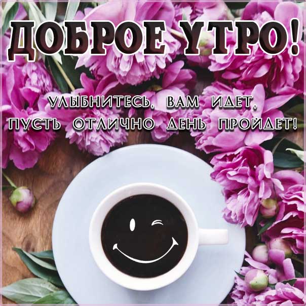 Веселое утро