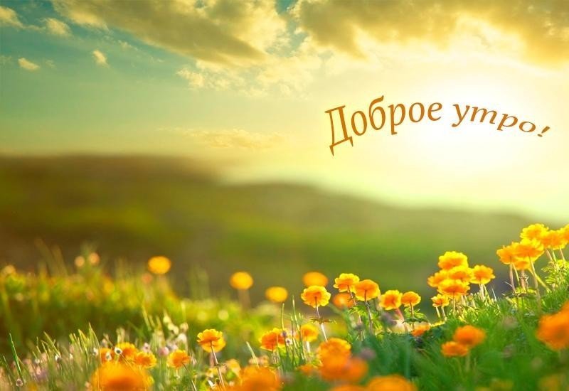 Красивое Утро Картинки Природа С 