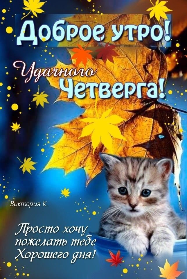 Доброе утро!Хорошего дня! Уютного четверга!🌸 