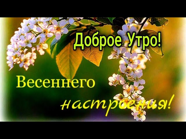 С Добрым Весенним Утром☕️Хорошего 