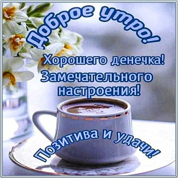 С добрым утром!#добрыепожелания #прекрасногонастроения 