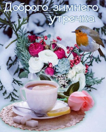 Утро доброе 