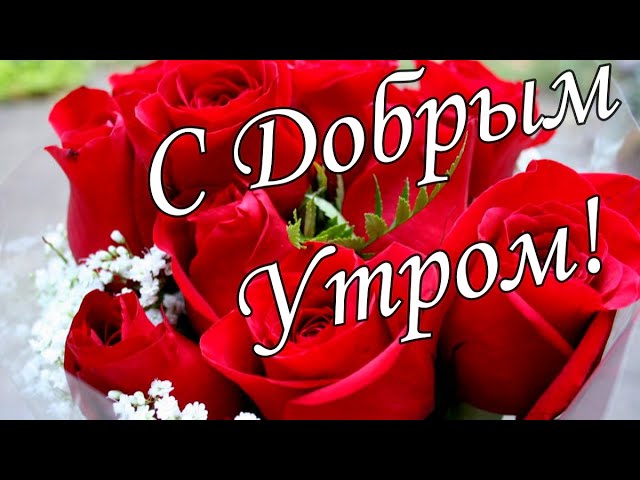 Картинки с добрым утром, любимая 50 