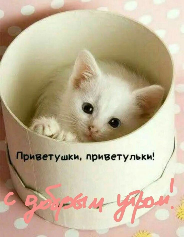 ❤️❤️❤️ Доброе утро, любимая ❤️❤️❤️ 