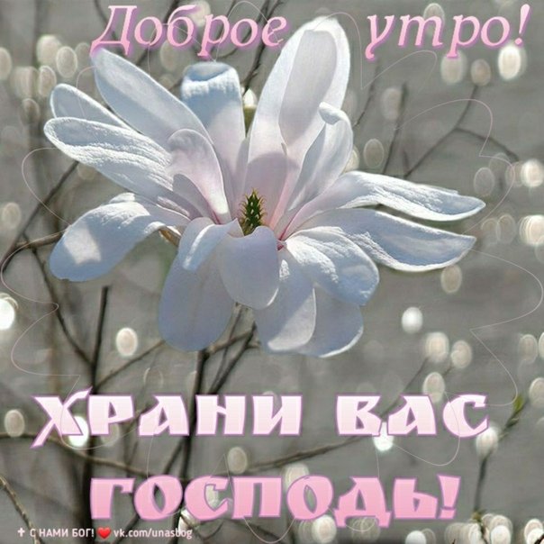 ☀️☕♥️ Доброе утро красивые картинки