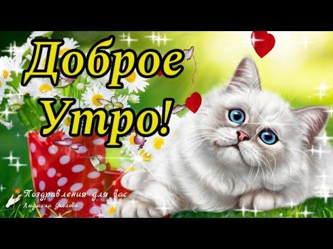 Утра доброго желаю, Обнимашки посылаю!