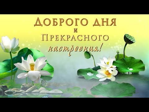 Пожелания хорошего дня подруге