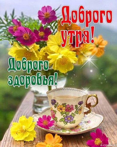 Доброе утро, друзья мои ! 🌞 Всем 