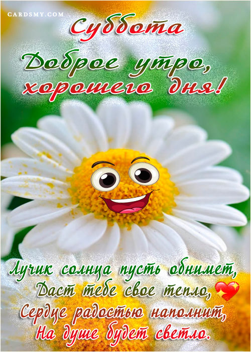 Храни Вас, Бог! Доброго утра! 🙏🌼🌼🌼🌼🌼