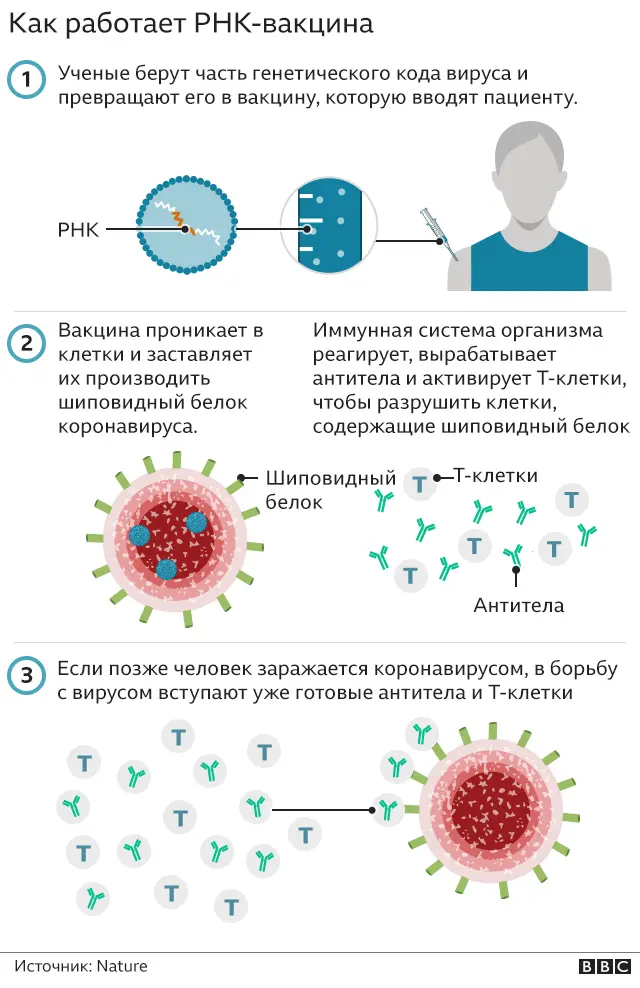 Что надо знать о COVID-19