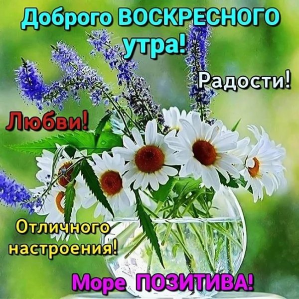 С ВОСКРЕСЕНЬЕМ — поздравления картинки 💐 Доброго утра, дня 