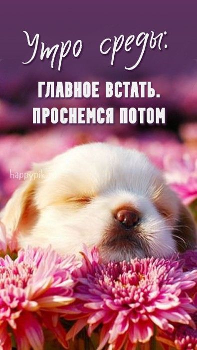 💗☕️Доброе Утро! Хорошего Дня!🌷Для 