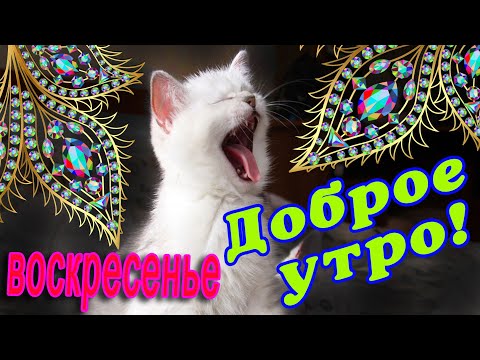 🎺 УРА ВОСКРЕСЕНЬЕ! 🎺 ДОБРОГО УТРА 