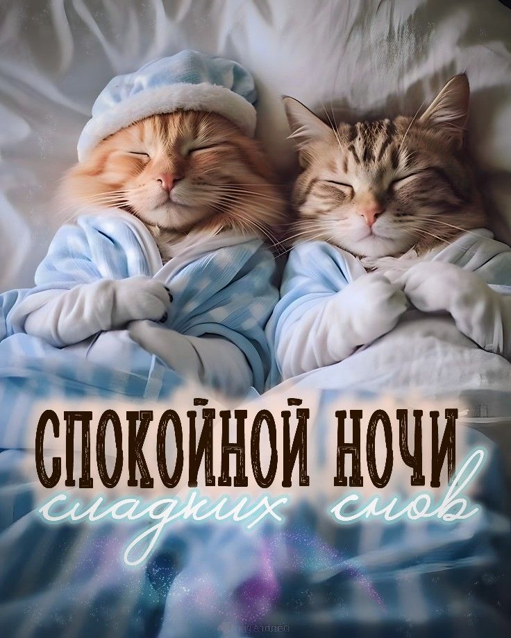 Сладких снов любовь