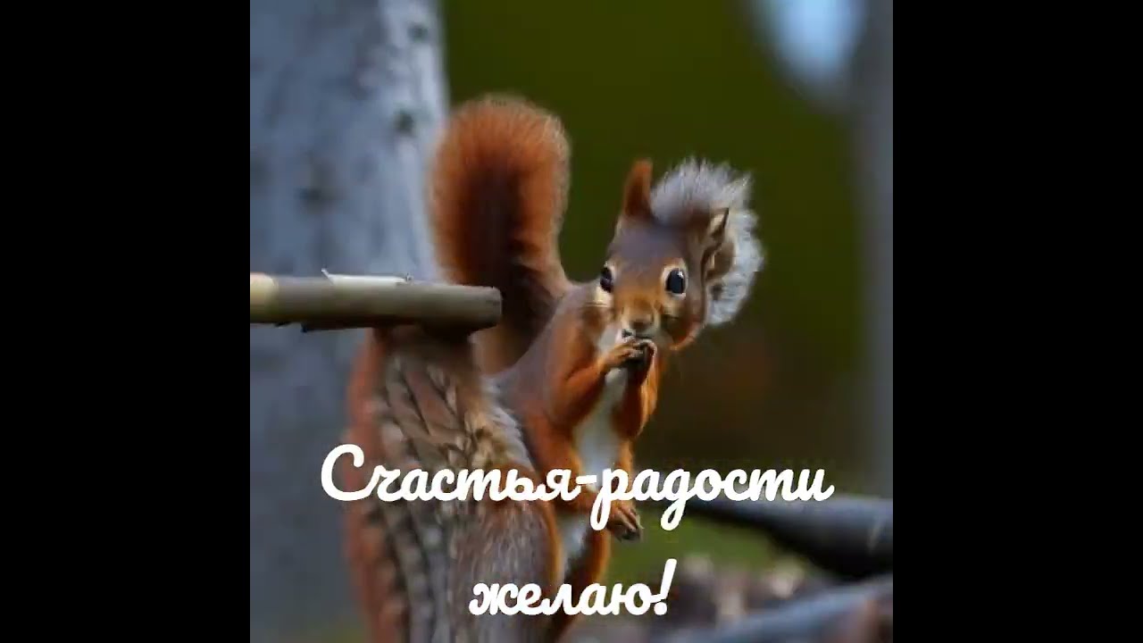 Доброе утро, Ямал! 🐿 Пришёл октябрь, пришла и белочка 