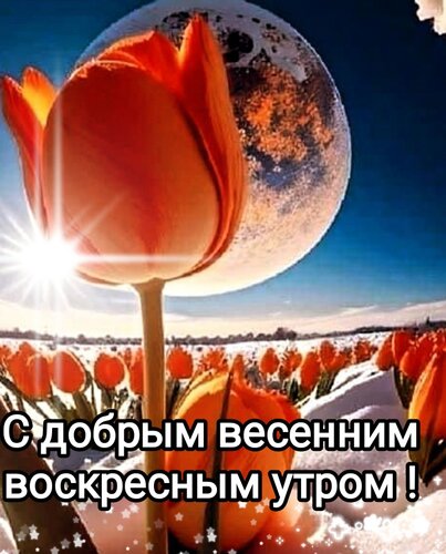 🌷 С добрым утром ! Весеннего тепла !🌞 