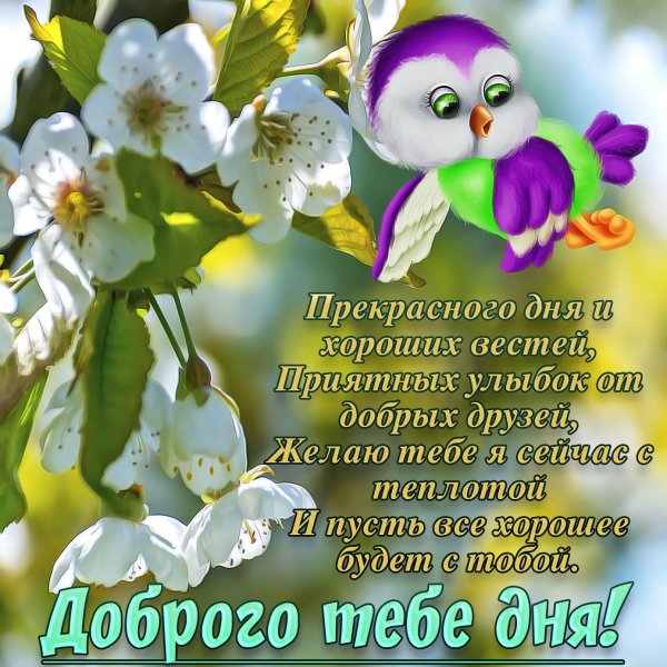 Доброе утро#Вторник#Самого отличного 