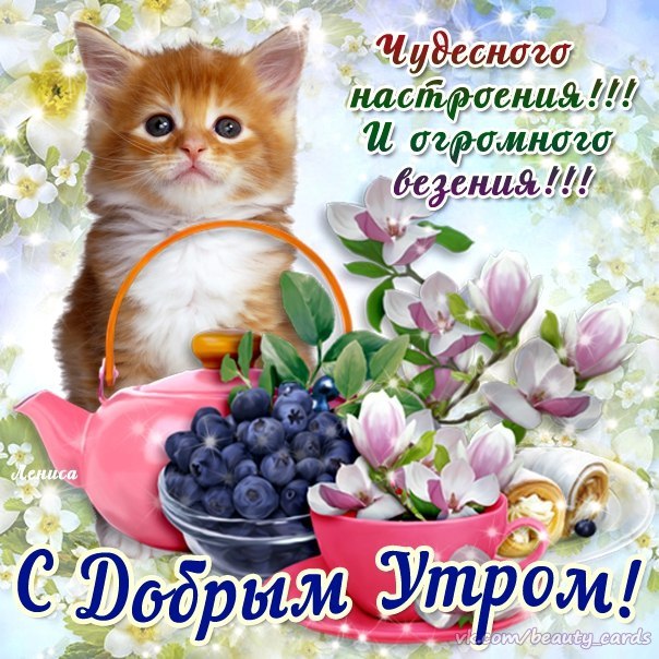 🌼ДОБРОЕ УТРО ЛЮБИМАЯ ТЁТЯ!🤗