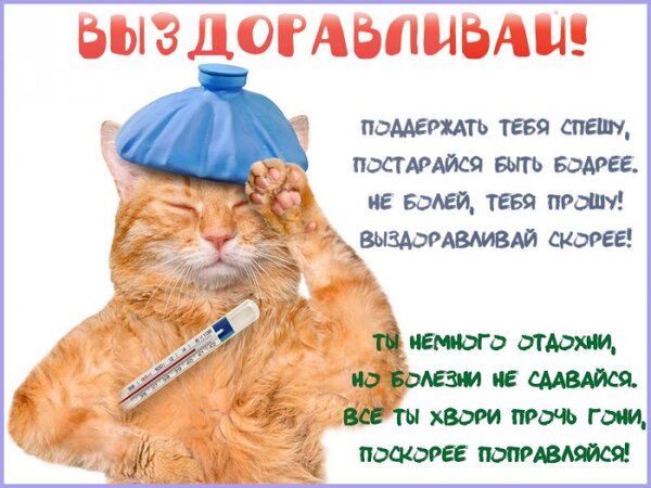 выздоравливай