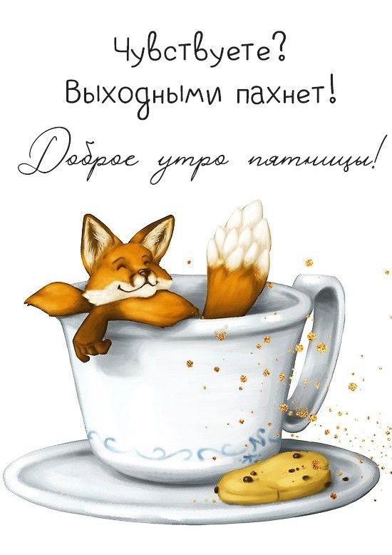 Доброе Утро ☕#пятница 🌷#отличногодня