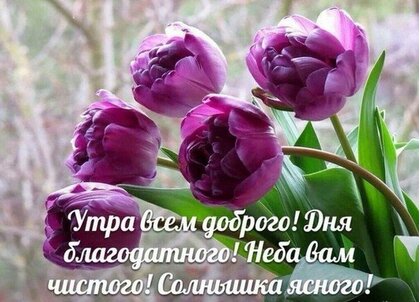 🌞 С добрым утром! 🌹 