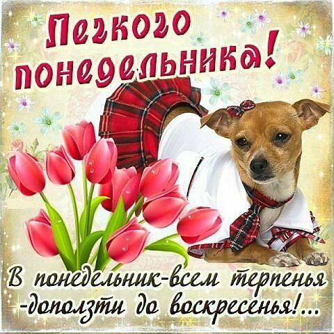 Good morning! / Доброе утро! Лёгкого 