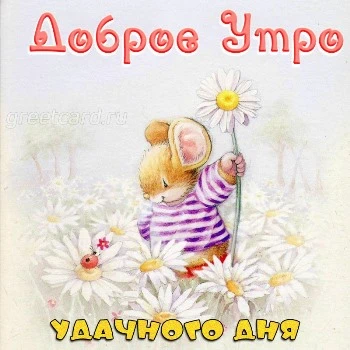 Доброе Утро и Хорошего Дня! Очень 