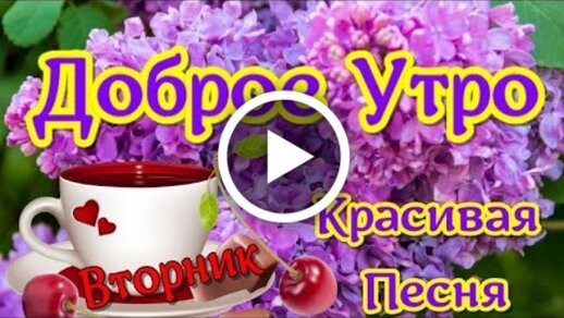 Видео ☕️ Доброе утро, добро посылаю 