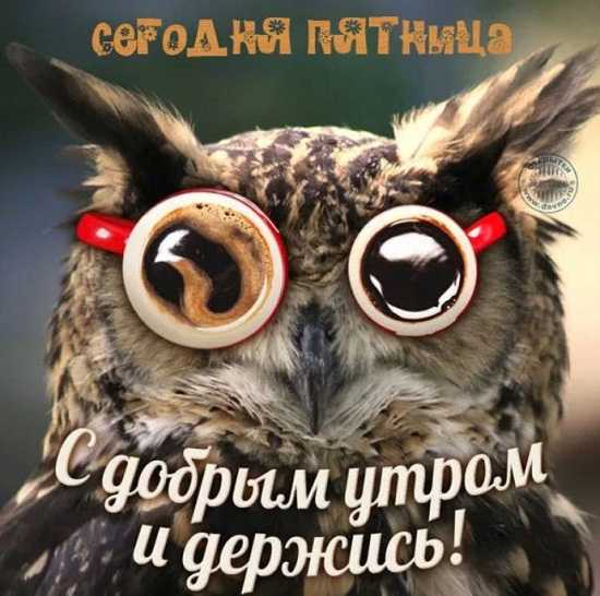 Ура пятница