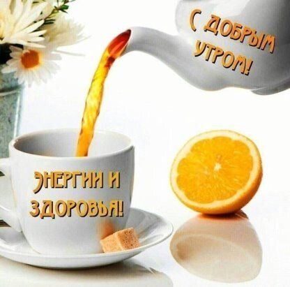 🍃🌞 ДОБРОЕ УТРО, ДРУЗЬЯ! 🌞🍃 Тебе скажу я 