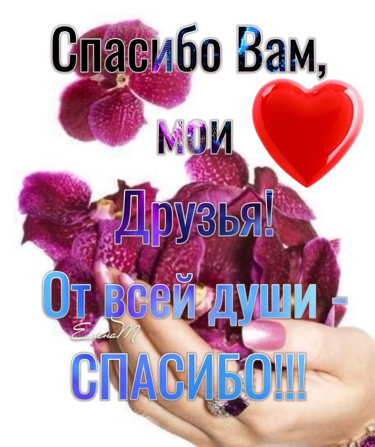 СПАСИБО ВАМ МОИ ДРУЗЬЯ