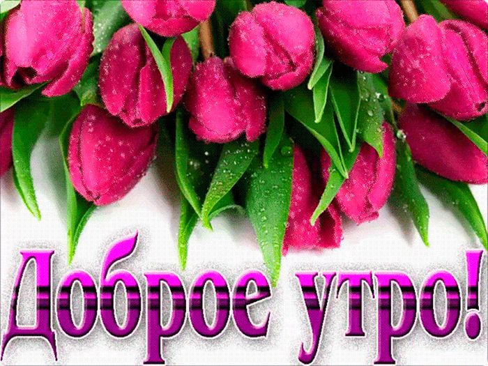 🌷С Добрым Весенним Утром Красивое 