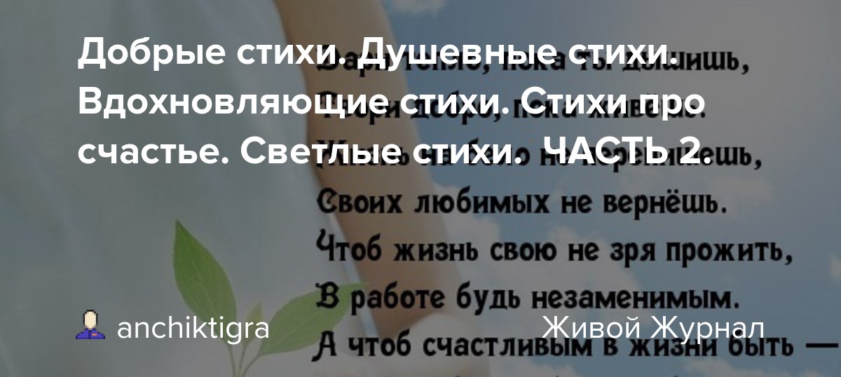 О дружбе красивыми словами