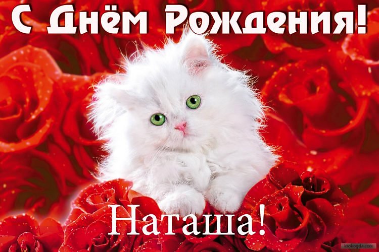 С Днём рождения, Наташа! Поздравляю!