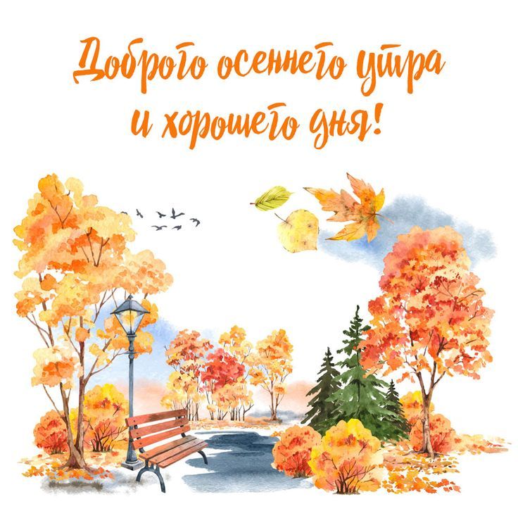 🍂🍁 ДОБРОЕ УТРО, ДРУЗЬЯ! ОТЛИЧНОГО ДНЯ 