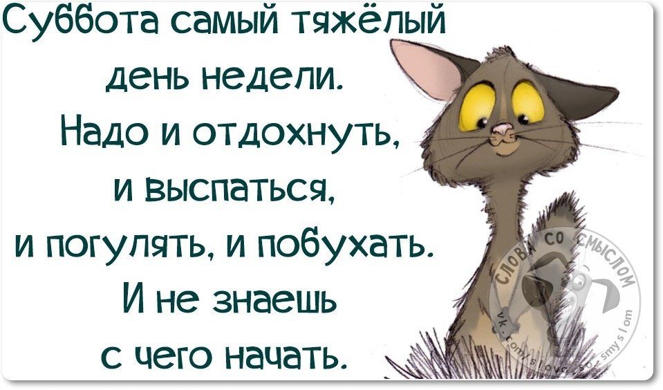 Субботнее Доброе Утро Картинки С Прикольными Надписями 