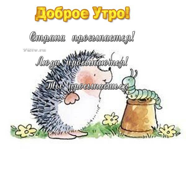 Доброе утро!