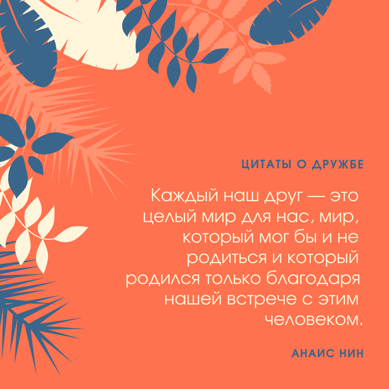 Цитаты