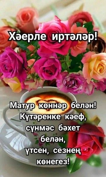 Хәерле иртә дуслар🌞