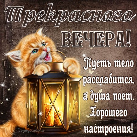 Хорошего вечера