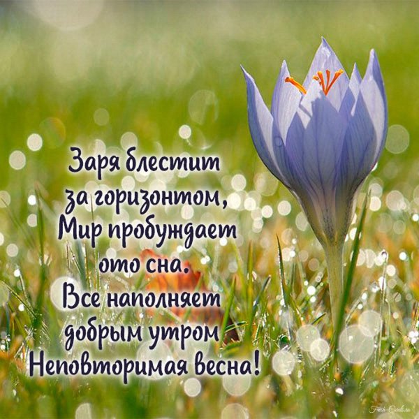 С ДОБРЫМ УТРОМ 8 Января!🌼Желаю Самого Доброго Солнечного 