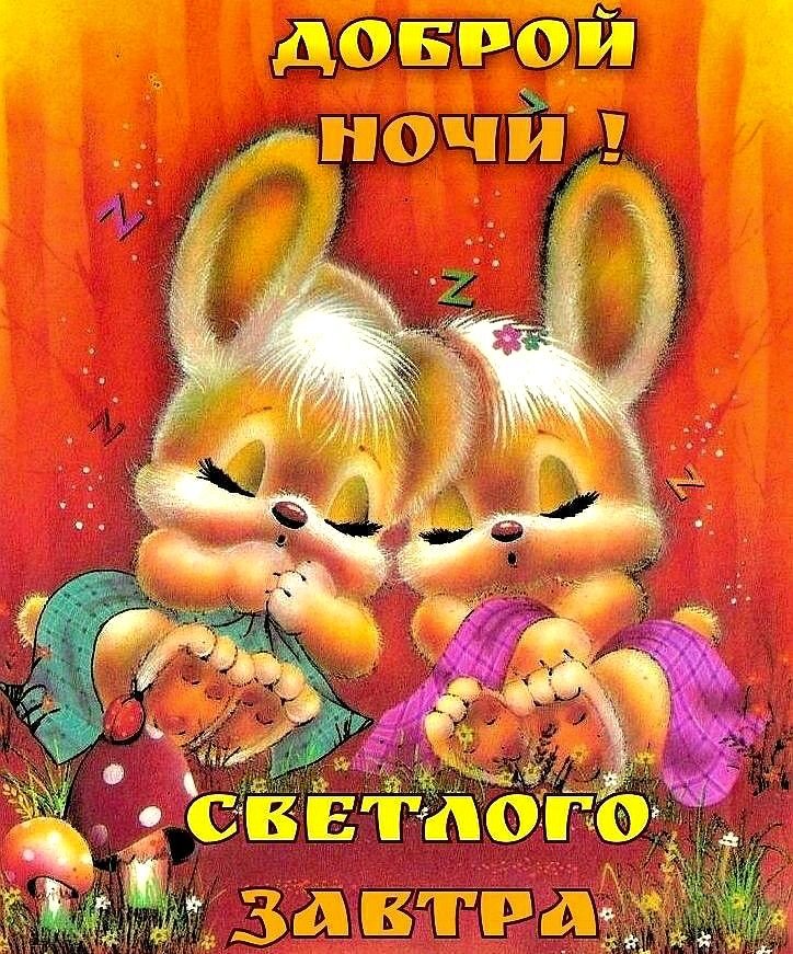 Спокойной ночи, Ночь