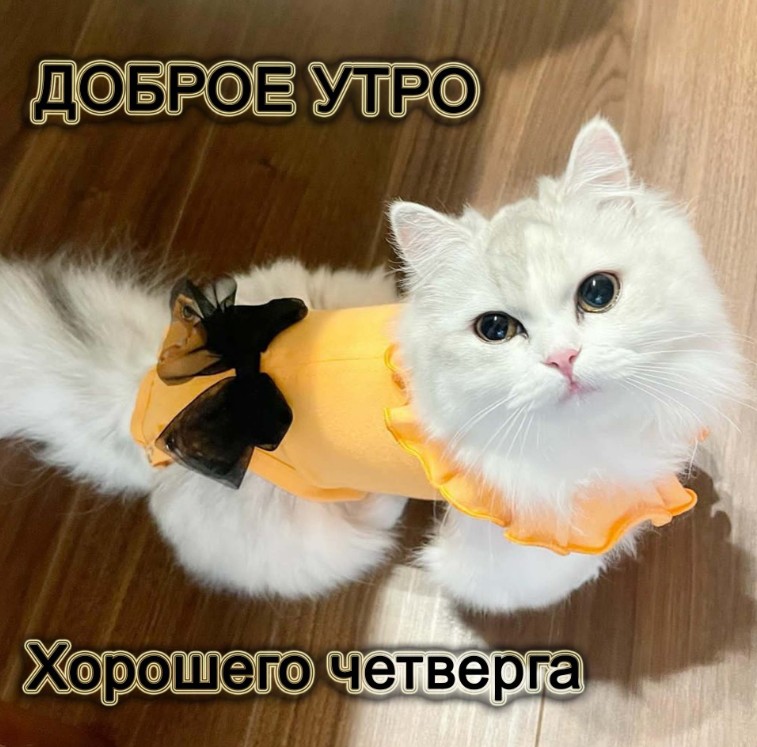 Доброе утро!Четверг! 