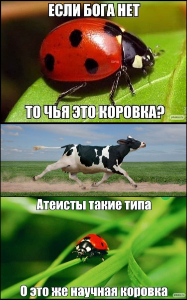 У Бога нет других рук, 